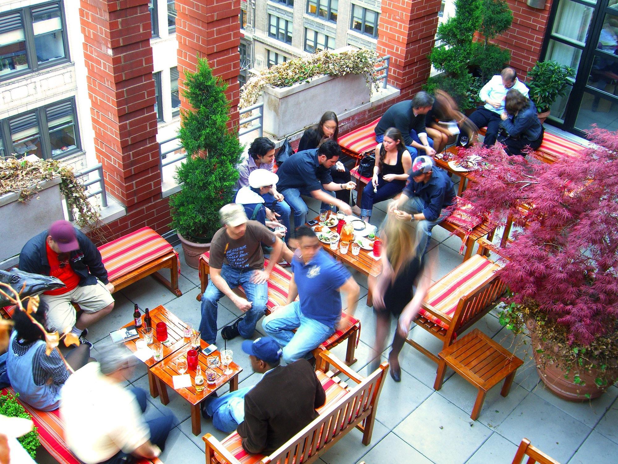 Giraffe By Library Collection 4* Nueva York