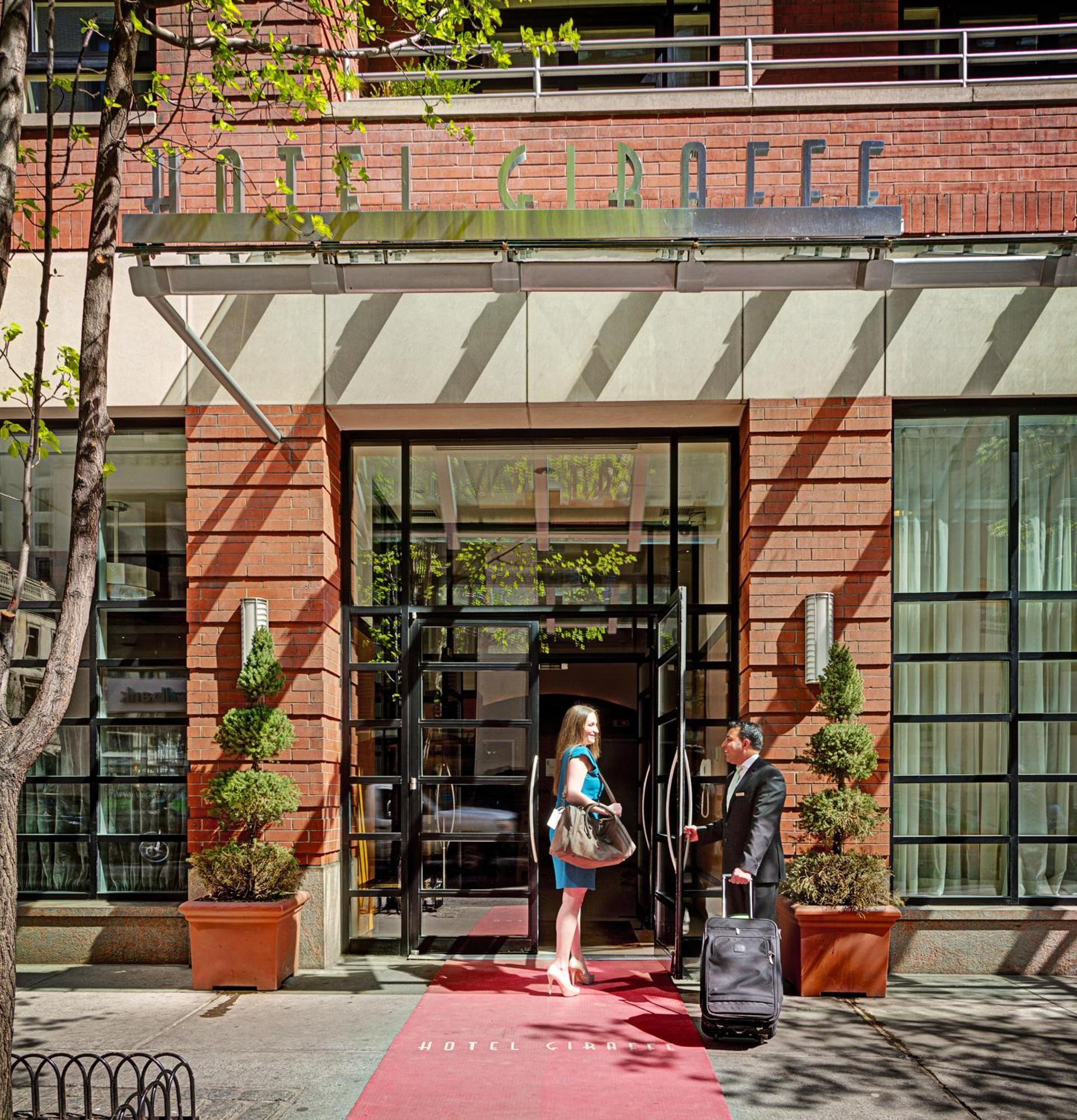 Giraffe By Library Collection Nueva York